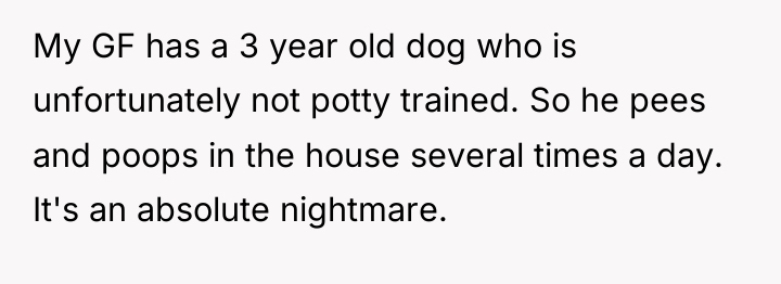 My GF has a 3 year old dog who is...