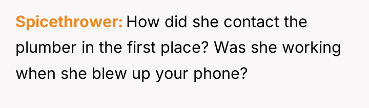 Spicethrower How did she contact the plumber in the first...