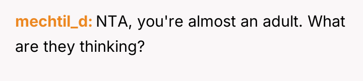 mechtil_d NTA, you're almost an adult. What are they thinking?