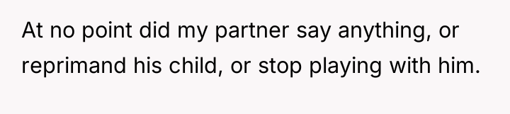 At no point did my partner say anything, or reprimand...