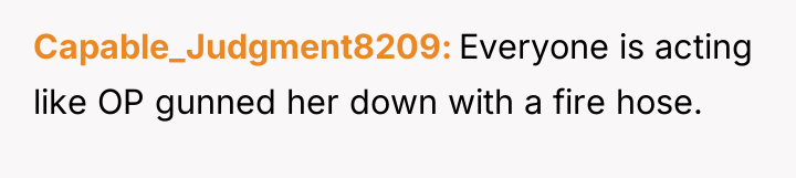 Capable_Judgment8209 Everyone is acting like OP gunned her down with...