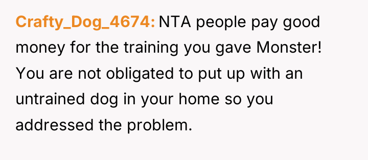 Crafty_Dog_4674 NTA people pay good money for the training you...