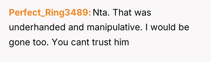 Perfect_Ring3489 Nta. That was underhanded and manipulative. I would be...