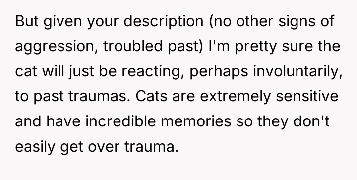 But given your description (no other signs of aggression, troubled...