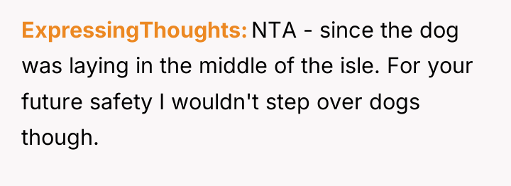 ExpressingThoughts NTA - since the dog was laying in the...