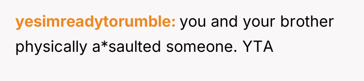 yesimreadytorumble you and your brother physically a*saulted someone. YTA