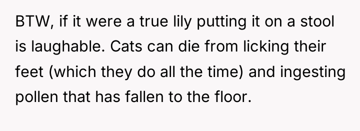 BTW, if it were a true lily putting it on...