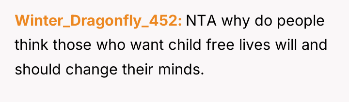 Winter_Dragonfly_452 NTA why do people think those who want child...