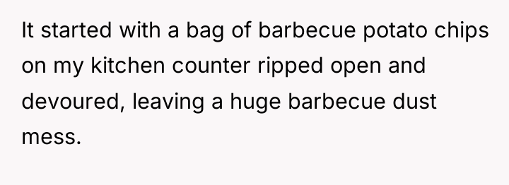 It started with a bag of barbecue potato chips on...
