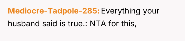 Mediocre-Tadpole-285 Everything your husband said is true.: NTA for this,
