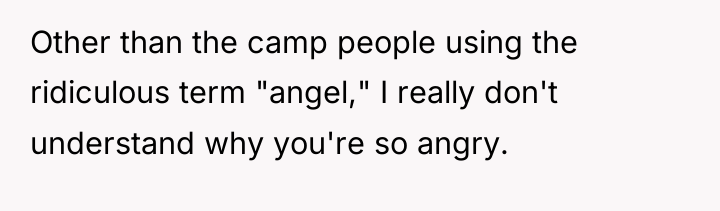 Other than the camp people using the ridiculous term "angel,"...