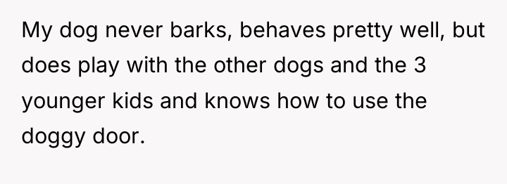 My dog never barks, behaves pretty well, but does play...