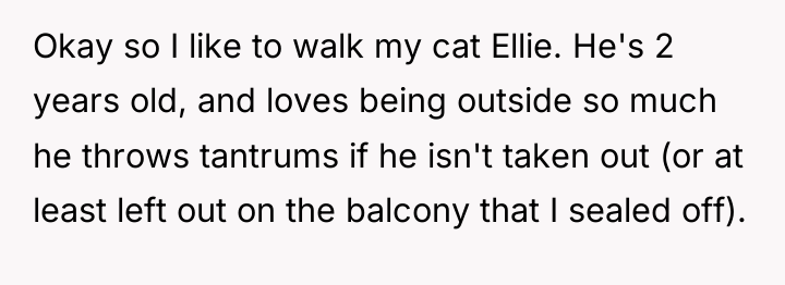 Okay so I like to walk my cat Ellie. He's...