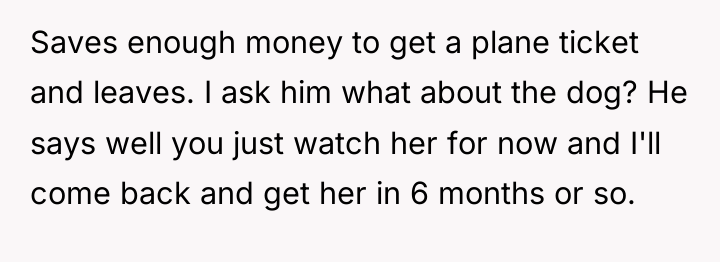 Saves enough money to get a plane ticket and leaves....