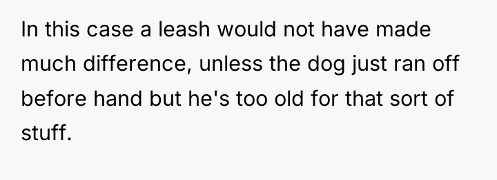 In this case a leash would not have made much...