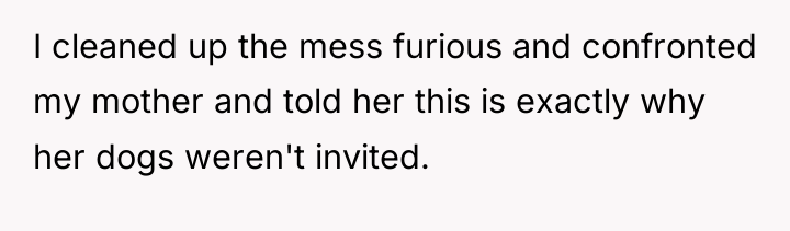 I cleaned up the mess furious and confronted my mother...