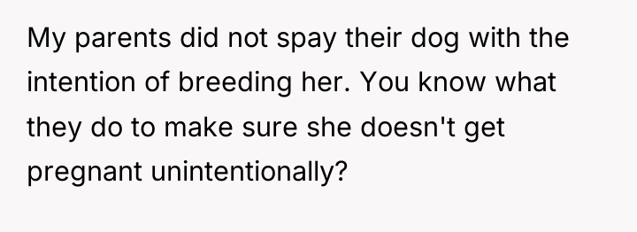 My parents did not spay their dog with the intention...