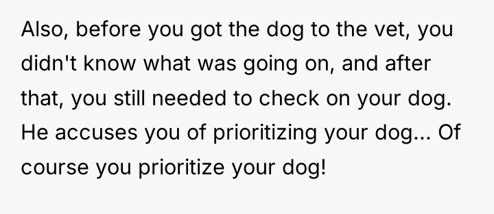 Also, before you got the dog to the vet, you...