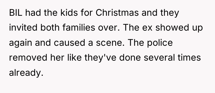BIL had the kids for Christmas and they invited both...