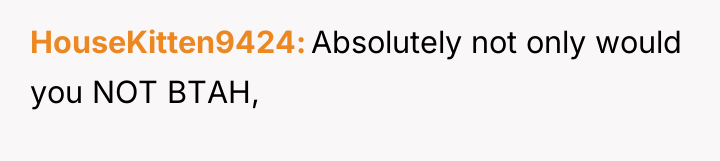 HouseKitten9424 Absolutely not only would you NOT BTAH,
