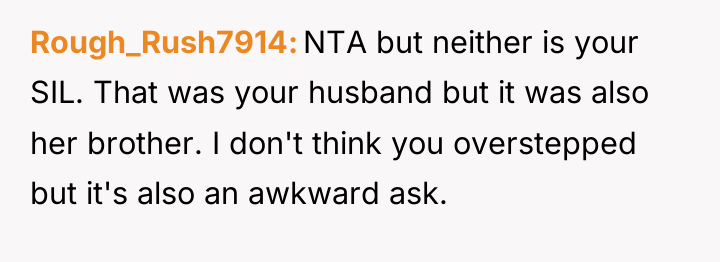 Rough_Rush7914 NTA but neither is your SIL. That was your...