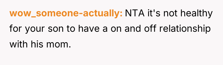 wow_someone-actually NTA it's not healthy for your son to have...