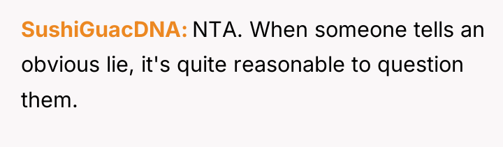SushiGuacDNA NTA. When someone tells an obvious lie, it's quite...