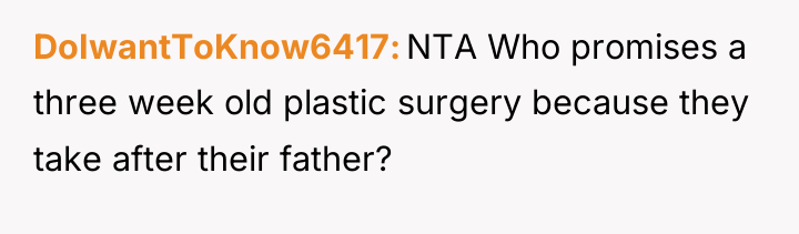DoIwantToKnow6417 NTA Who promises a three week old plastic surgery...