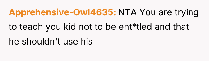 Apprehensive-Owl4635 NTA You are trying to teach you kid not...