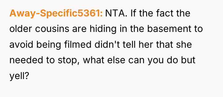 Away-Specific5361 NTA. If the fact the older cousins are hiding...