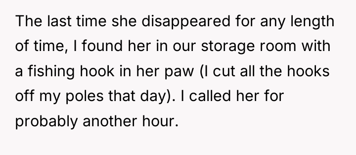 The last time she disappeared for any length of time,...