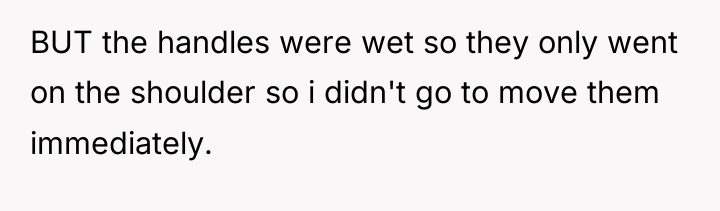 BUT the handles were wet so they only went on...