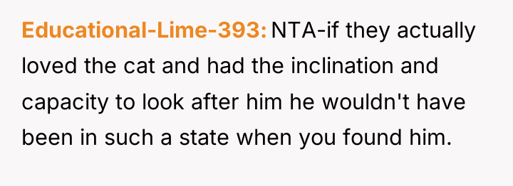 Educational-Lime-393 NTA-if they actually loved the cat and had the...