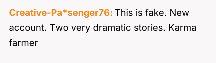 Creative-Pa*senger76 This is fake. New account. Two very dramatic stories....
