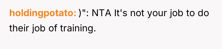 holdingpotato )": NTA It's not your job to do their...