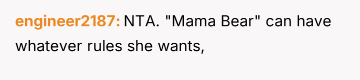 engineer2187 NTA. "Mama Bear" can have whatever rules she wants,