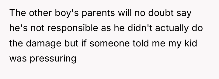 The other boy's parents will no doubt say he's not...
