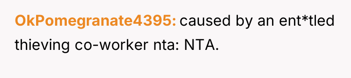OkPomegranate4395 caused by an ent*tled thieving co-worker nta: NTA.