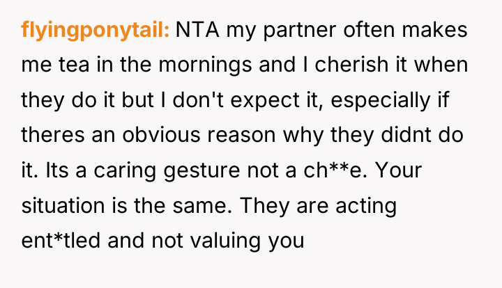 flyingponytail NTA my partner often makes me tea in the...