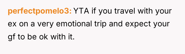 perfectpomelo3 YTA if you travel with your ex on a...
