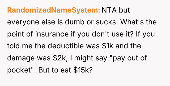 RandomizedNameSystem NTA but everyone else is dumb or sucks. What's...
