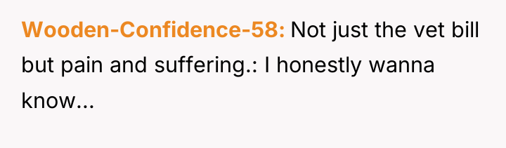 Wooden-Confidence-58 Not just the vet bill but pain and suffering.:...
