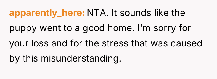 apparently_here NTA. It sounds like the puppy went to a...