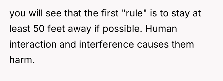 you will see that the first "rule" is to stay...