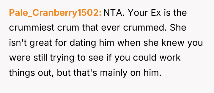Pale_Cranberry1502 NTA. Your Ex is the crummiest crum that ever...