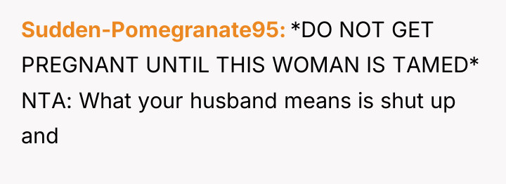 Sudden-Pomegranate95 *DO NOT GET PREGNANT UNTIL THIS WOMAN IS TAMED*...