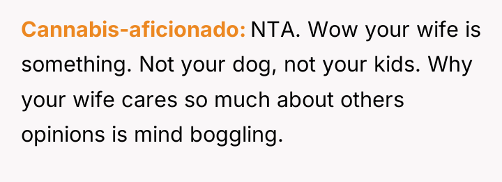 Cannabis-aficionado NTA. Wow your wife is something. Not your dog,...