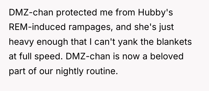 DMZ-chan protected me from Hubby's REM-induced rampages, and she's just...