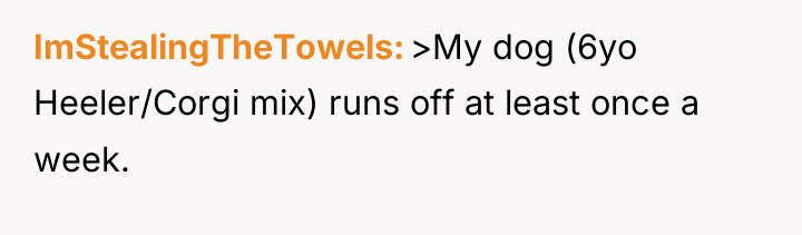 ImStealingTheTowels >My dog (6yo Heeler/Corgi mix) runs off at least...