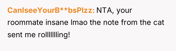 CanIseeYourB**bsPlzz NTA, your roommate insane lmao the note from the...